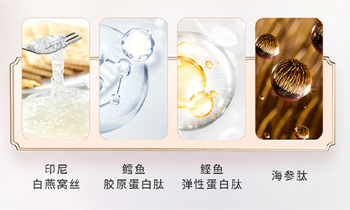 维萃美精炖燕窝——年轻人的养生新食尚