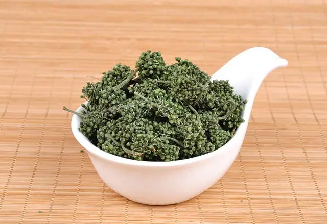 三七花能天天喝吗 三七花的功效和作用