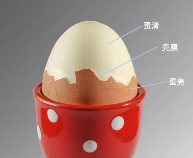 怎么用鸡蛋壳内膜去黑头