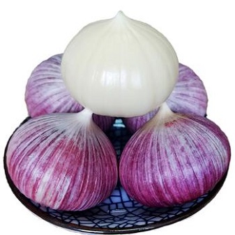 蒜头