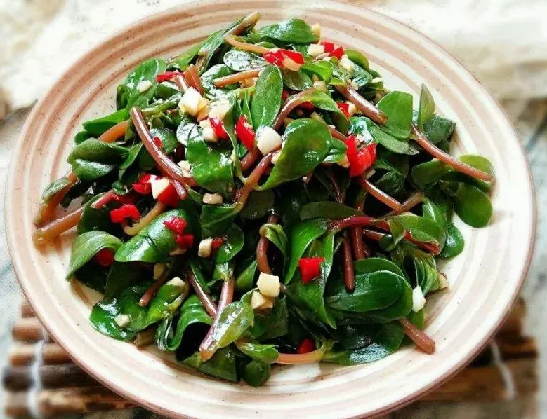 马齿苋有什么功效与作用 马齿苋治前列腺炎吗