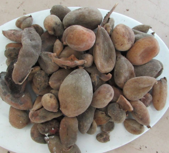 食疗偏方消除遗精