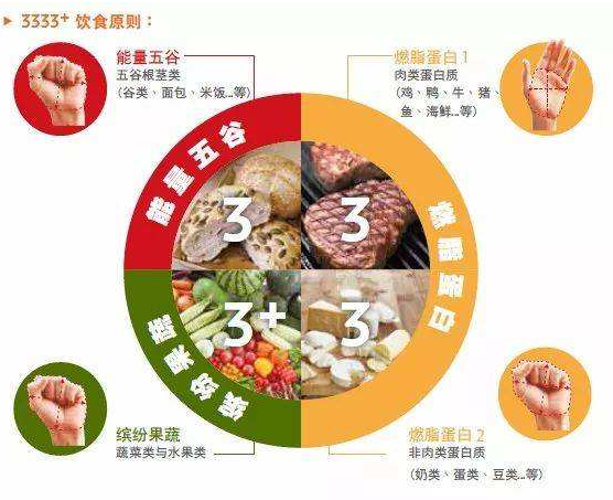 麦吉减肥法食谱