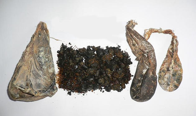 熊胆的功效与作用（熊胆的功效与作用吃法和禁忌）
