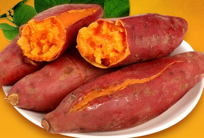 脾虚怎么调理 中医食疗方帮助你