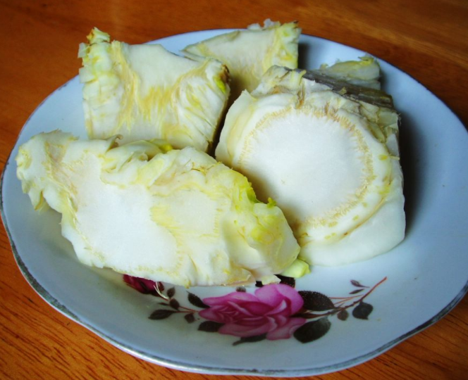 中医养生 吃蔬菜根可预防疾病