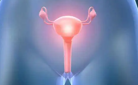 高清图解：女性阴道的真实构造