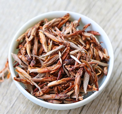 老鹰茶