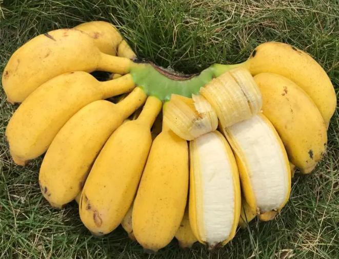 男人如何壮阳最快最有效 男性壮阳推荐4款食物