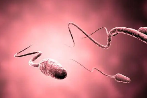 男人精子少什么原因？该怎么办？
