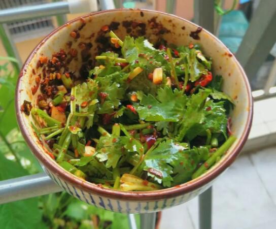 什么是香菜 香菜是否有壮阳的功能和作用呢