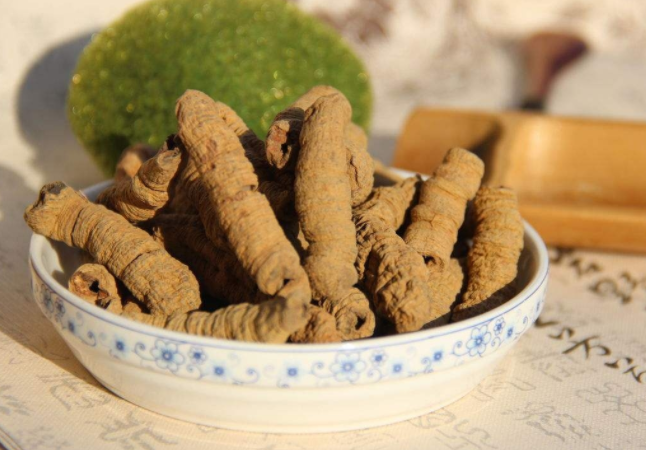 吃巴戟天能升高精子数目吗（吃巴戟天会伤胃吗）