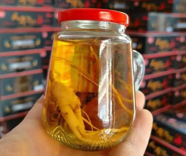 喝了鹿鞭酒一直硬 才喝一天鹿鞭酒第二天就受不了