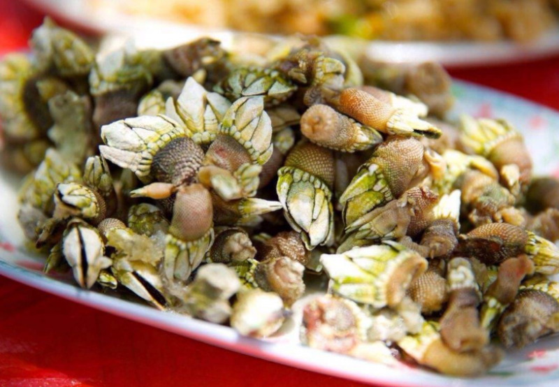 海佛手怎么吃 海佛手的食用方法
