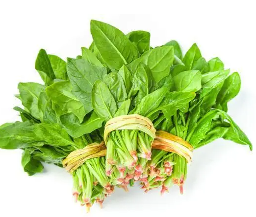 滋阴补肾最佳药膳