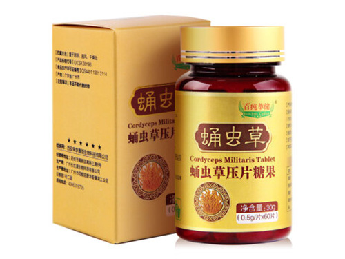蛹虫草子实体胶囊是中药吗