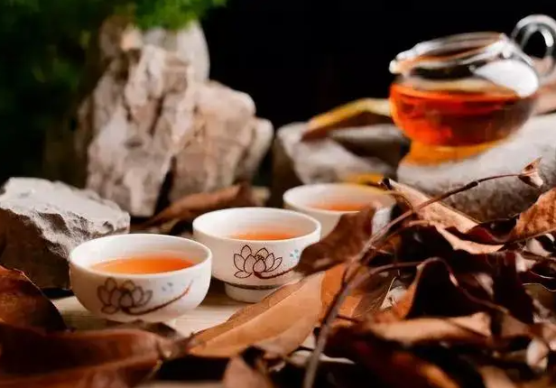 什么茶养肝护肝 推荐四款养肝茶