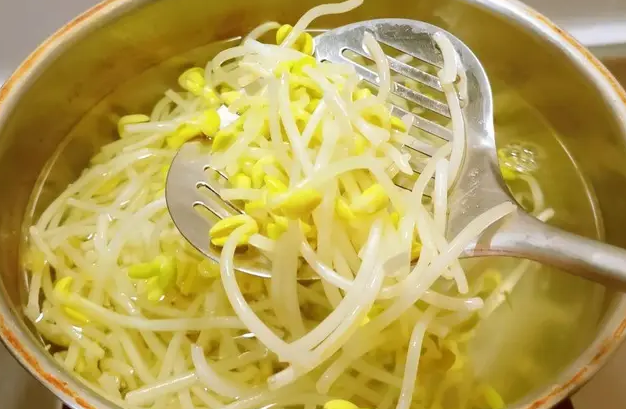 变绿的黄豆芽还能吃吗 黄豆芽发绿吃了有危害吗