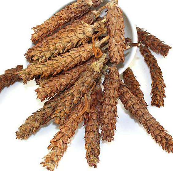 夏枯草