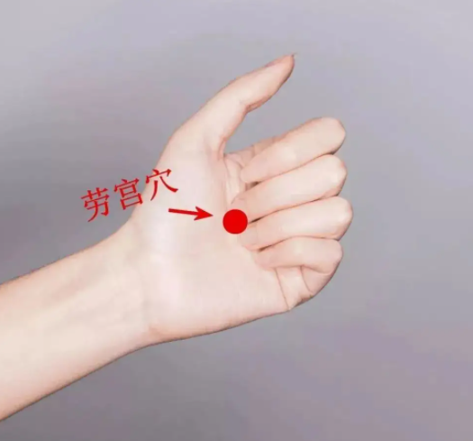中医养生调养方法的总结