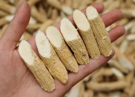 牛大力能壮阳补肾吗 怎么吃效果好一点