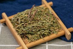 卷柏中药里治什么 卷柏止血生肌功效