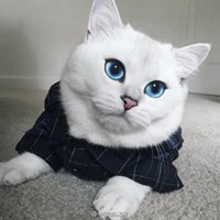 金锁固精丸的功效吃多久才有效果