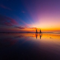为什么西地那非价格差别那么大