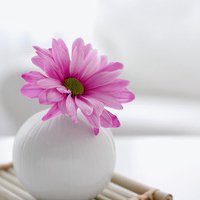 怎样使脂肪率下降