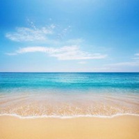 养生堂天然维生素功效