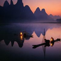 健肝灵胶囊那个牌子好