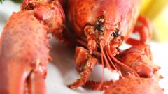 小龙虾死了可以吃吗 小龙虾死了多久不能吃