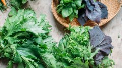 鞭菜可以有效治疗阳痿吗？哪些食物可以缓解阳痿？