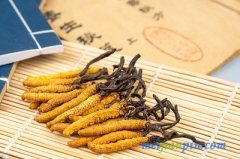 最好的男性补药，介绍四种中草药材！