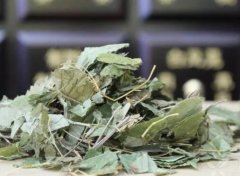 淫羊藿是什么？淫羊藿可以治早泄？