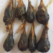 中医治疗多见病，款款单验方是精品！