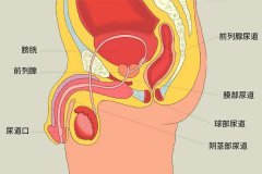 前列腺会不会导致失眠？揭秘前列