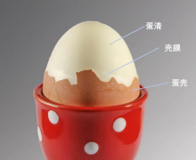 怎么用鸡蛋壳内膜去黑头？