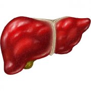祖传三代中医治疗肝病方法教你正确治肝病！