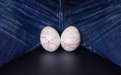 男人的“蛋蛋”有什么用(原来睾丸主要有些功能)？