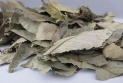 仙灵脾怎样吃更壮阳？