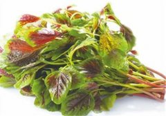 苋菜怎么吃最有营养？苋菜的营养价值！