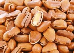 松子不能和什么一起吃？四大食物拒绝与松子同食！