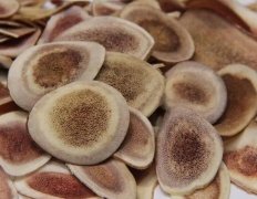 鹿茸的吃法，鹿茸怎么吃效果最好