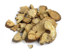 中药青风藤是什么？
