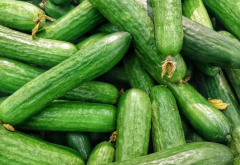 减肥的蔬菜有哪些呢？七大蔬菜帮