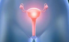 高清图解女性阴道的真实构造！