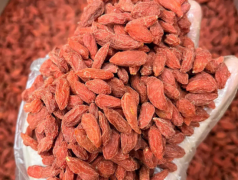 枸杞子不能和什么同吃吗(吃了火龙果马上吃枸杞好吗)？