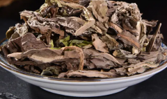 大青叶的功效与作用，大青叶的食用方法！