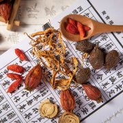 脾肾阳虚的最好中药方子，介绍有